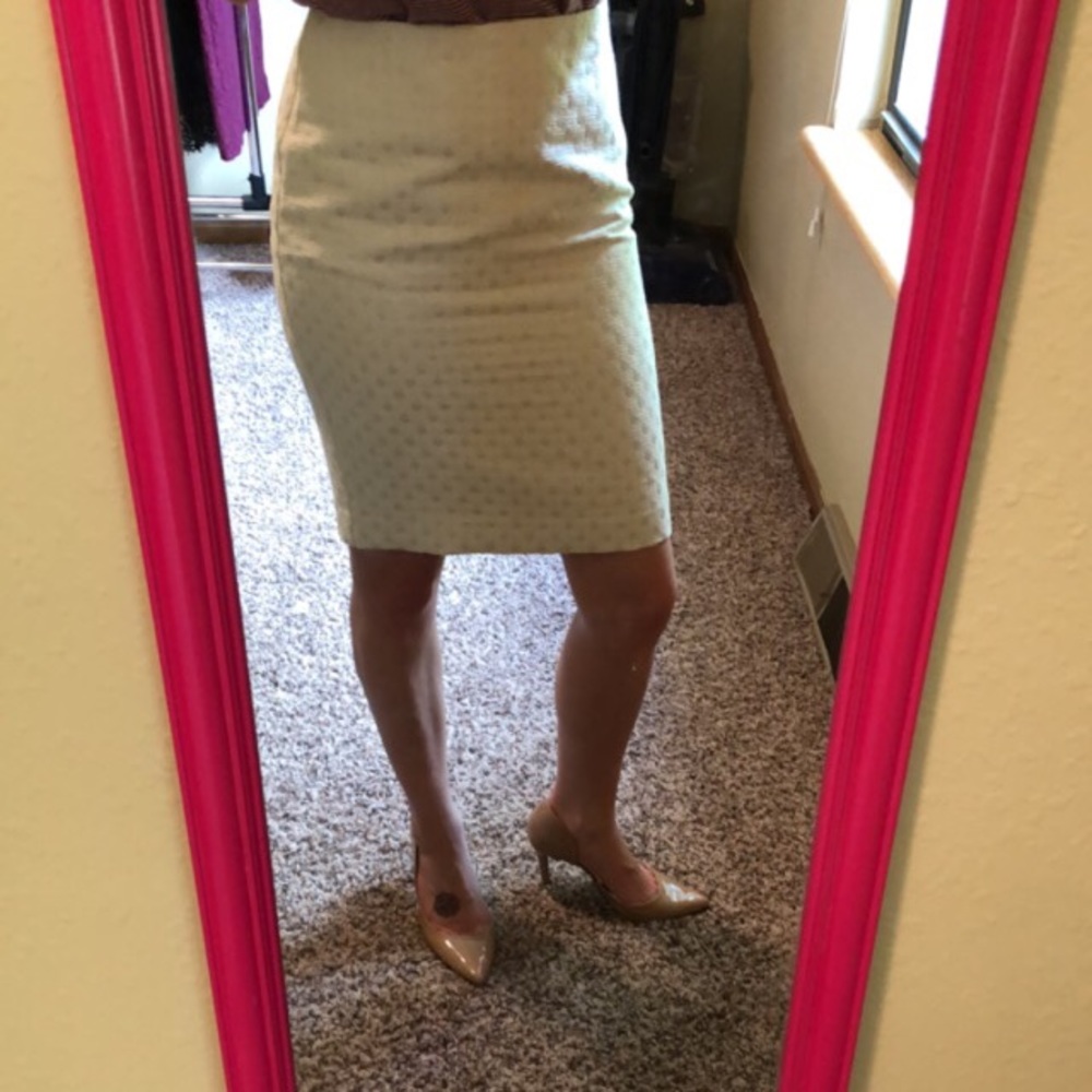 Gorgeous white and silver Ann Taylor skirt 0P